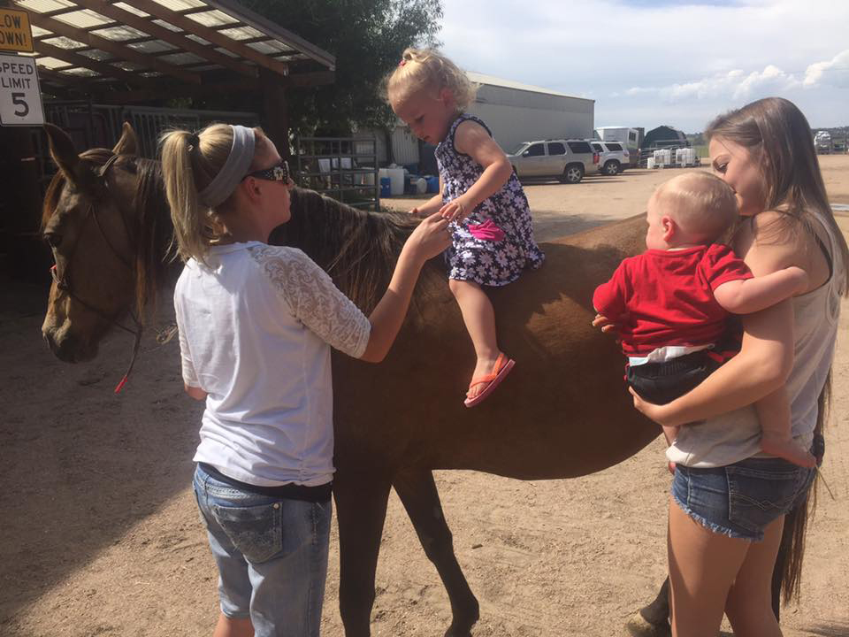 Horses For Sale, from Weanlings to Finished Horse & Broodmares For Sale. Reining, Cutting