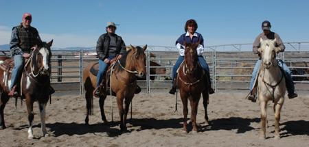 Donna Ackerman Training, Breeding, &  Boarding Center, Northern Colorado