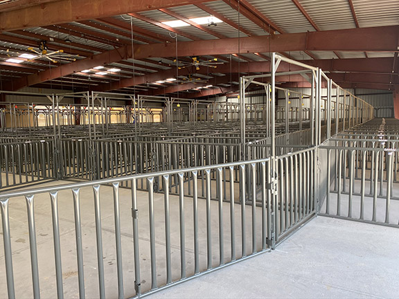WW Hog and Sheep (240) 5' x 6' Pens with 70' x 75' with Custom Show Sale Ring at the Yuma County Fairgrounds !