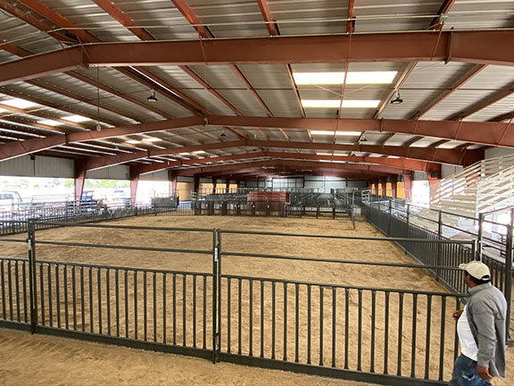 WW Show Ring Panels Custom made 6' Tall and with Sheeting on the Bottom to Keep in the Shavings