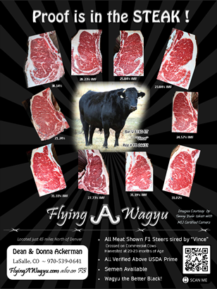 Flying A Wagyu Meat and Weatherford for Sale