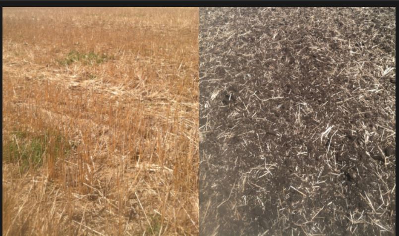 Kwik-Till Wheat Field (Before/After)