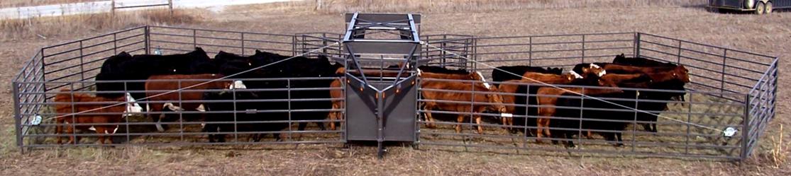 Titan West OK Corral, Portable Corral for Cattle