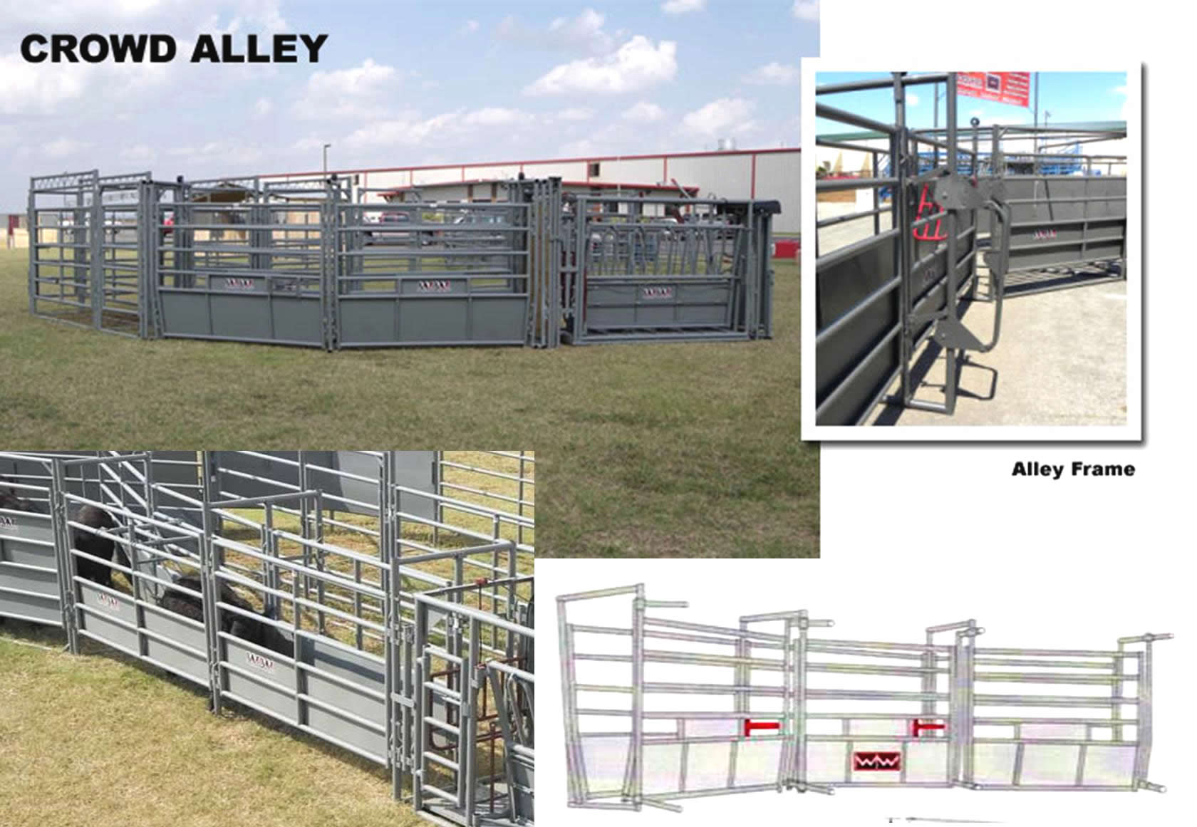 WW Crowd Alleys Adjustable For Cattle