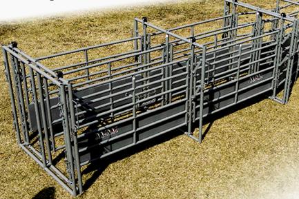 WW Double Working Alley For Cattle