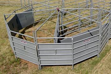 WW 210 Full Sheeted Cattle Handling Equipment