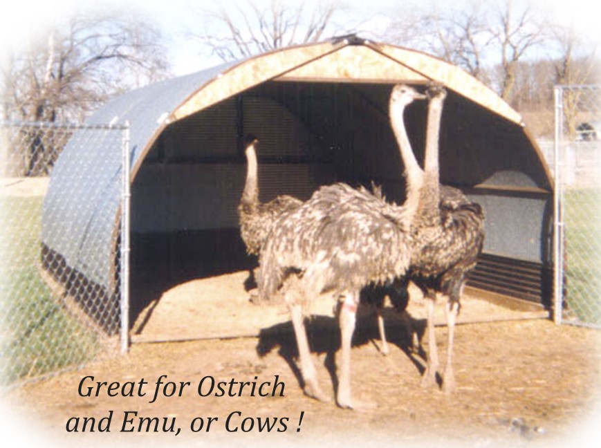 Port-A-Hut Large Shelter works extremely well for feeder pigs, goats, sheep, calves, ostrich, emu, lamas and even some zoo animals. 