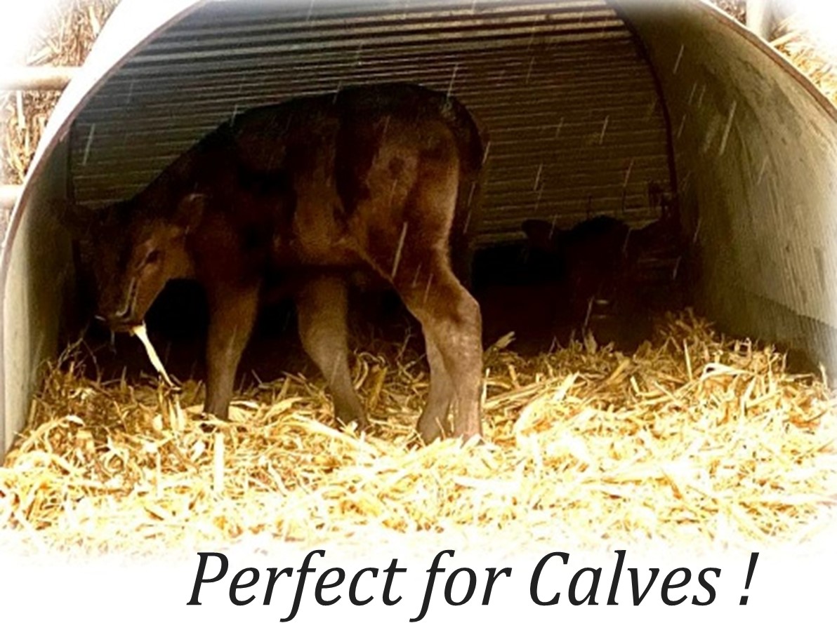 Port-A-Hut Medium Perfect for Cavles too 