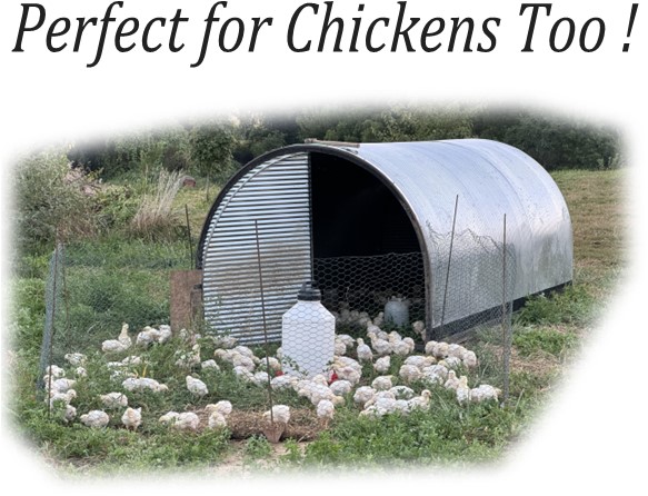 Port-A-Hut Small Shelter works well for feeder pigs, goats, sheep, calves, chickens, other small livestock - Perfect for Chickens too !