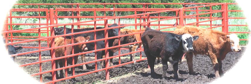 Sioux Steel Victory Corral Gates, Covered Under Lifetime Guarantee for Cattle & Horses 
