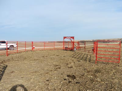 Titan West OK Corral, Portable Corral for Cattle
