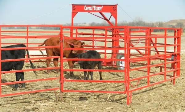 OK Portable Cattle Corral, by Titan West, sold by Ackerman Distributing 800-726-9091