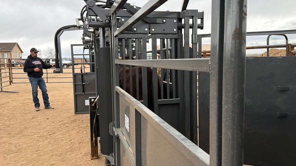 Palco Portable Hydraulic Chute, 8’ Alley and 8’ Tub