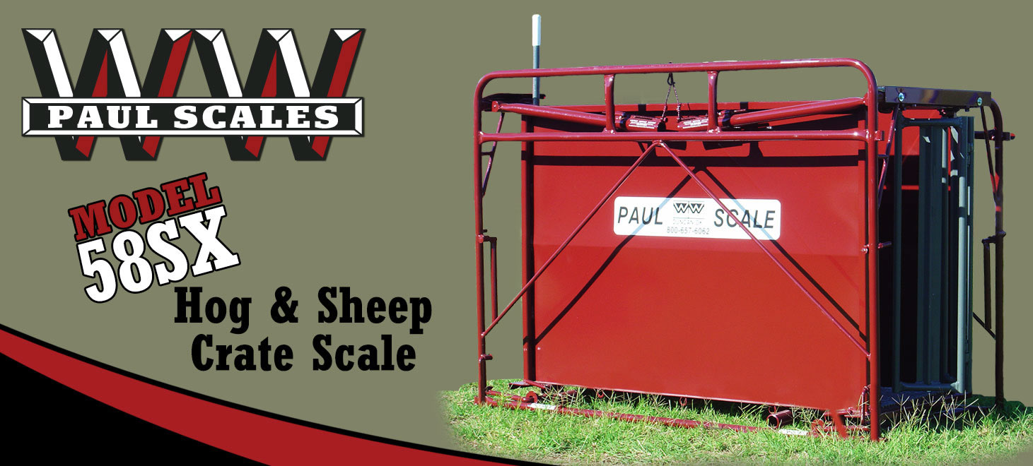 58SX Hog/ Sheep Scale 