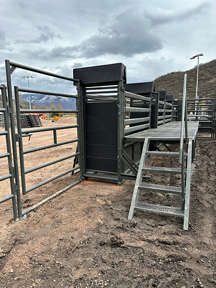 WW Bucking Chutes New Style Trackless with Foldup Catwalks Shown with Steps and Handrail