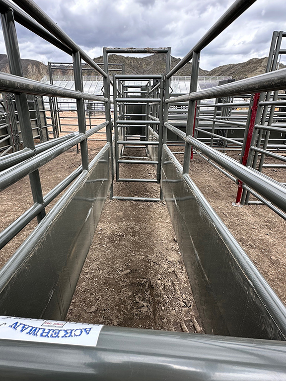 WW Rodeo Arena Back Pens Lead Ups