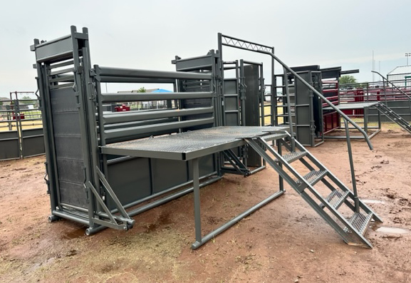 WW New Style Bucking Chute with Trackless and Fold Up Catwalks